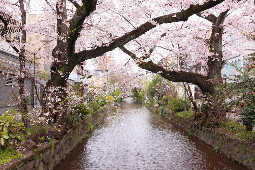 京都高瀬川別邸 3*